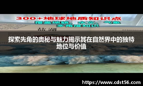 探索先角的奥秘与魅力揭示其在自然界中的独特地位与价值